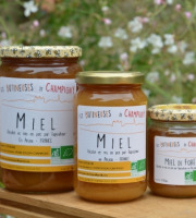 Les Butineuses de Champigny - Miel de Forêt Bio - 500 g