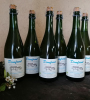 Domaine Fourmond Lemorton - Poiré Domfront Tradition AOP BIO x6