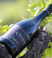 Domaine Daridan - "Gabin" Cheverny rouge - 2020