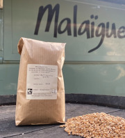 Domaine de Malaïgue - Petit Epeautre en Grains bio - 5kg