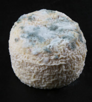 La Fromagerie Marie-Anne Cantin - Crottin De Chavignol Aop