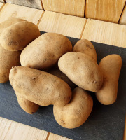 Gourmets de l'Ouest - Pommes de terre de Saint-Malo