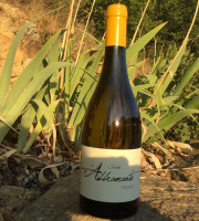 Depuis des Lustres - Comptoir Corse - Domaine de Tremica - Cuvée Abbramante blanc 2021