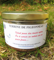 Cailles de Chanteloup - Terrine De Pigeons (190gr)