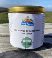 Ferme Sinsac - Concombres marinés à la coriandre fraiche Bio