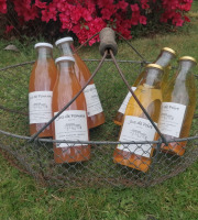 Domaine Fourmond Lemorton - Mix 3 Jus de Pomme 3 Jus de Poire BIO