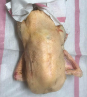 Des Poules et des Vignes à Bourgueil - Cane grasse non vidé , avec foie gras