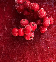 Le Balcon en Forêt - [Surgelé] Purée de groseilles épépinées 1KG