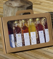 TK Bio - The Kefir et Kombucha Compagnie - Valisette – Coffret Cadeau Vinaigres