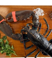 Luximer - Homard Breton Vivant - Pièce De 900g