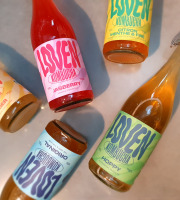 Brasserie L'Indispensable LOVEN Kombucha - Kombucha Pack Découverte - 6x75cl