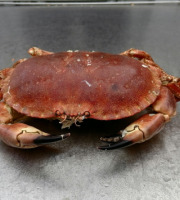 Les Viviers de Porsguen - Tourteaux cuits à l'eau de mer 600g x 3 kg