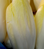 Ferme Joos - Endive - 1kg