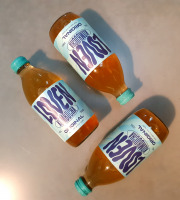 Brasserie L'Indispensable LOVEN Kombucha - Kombucha Original (thé vert & thé noir) - 10x33cl