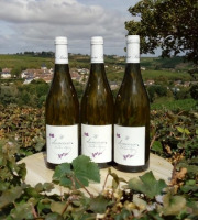 Domaine Doudeau-Leger - Sancerre Blanc AOC 2022 - 3 Bouteilles