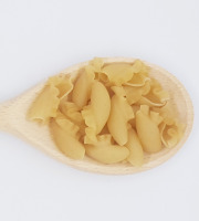 Pasteole - Pâte Campanelle nature 10kg