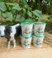 Lait Prairies du Boulonnais - Yaourt fermier brassé à la cerise x4