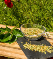 Sa Majesté la Graine - Pois Cassés HVE du Berry - Sac 5 Kg