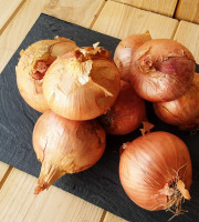 Gourmets de l'Ouest - Oignons roses de Saint-Malo