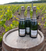 Champagne Deneufchatel - Champagne Deneufchatel Millésime 3 X 75 Cl