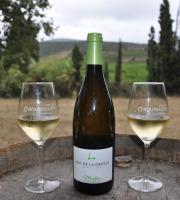 Mas De La Devèze - Côte du Roussillon AOP - Malice Blanc 2019