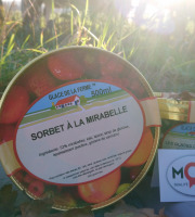 Les Glaces de la Promesse - Sorbet Mirabelle