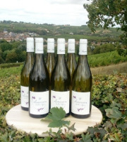 Domaine Doudeau-Leger - Sancerre Blanc AOC 2022 - 6 Bouteilles