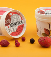 Le Jardinier Glacier - Sorbet Délice de Bourgogne, fruits rouges de notre ferme - 120ml