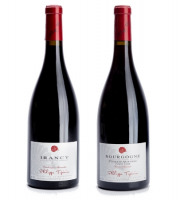 Domaine Tupinier Philippe - Lot De 2 Vins Rouges : Côte D'auxerre Rouge 2016 Et Irancy Aoc 2018 - 2 Bouteilles