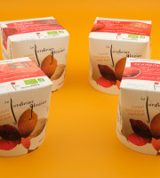 Le Jardinier Glacier - Lot de 4 Sorbets - délice de Bourgogne, fraise, framboise, griotte