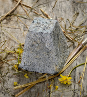 Le Petit Perche - Pyramide Frais de Chèvre