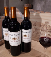 Vignobles Brunot - AOP Saint-Emilion Grand Cru Rouge - Château Piganeau 2018 - 3x75cl