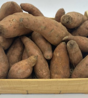 Le Panier du Producteur - Patate Douce - 1kg