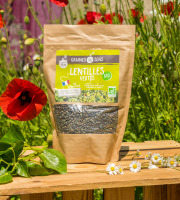 Sa Majesté la Graine - Lentilles vertes Bio de France - sachet 500 g