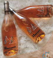 Domaine Truchefaud - La Montante - Vin Rosé Fruité