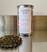 Esprit Zen - Thé vert glacé Pêche en Solo - 8 Infusettes