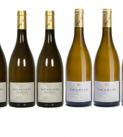 Domaine Tupinier Philippe - 3 Bouteilles de Bourgogne Blanc Vieilles Vignes 2019 Et 3 bouteilles de Chablis 2020