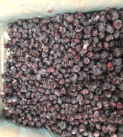 La Ferme des petits fruits - [SURGELÉ] Myrtilles Cultivées BIO - 14KG