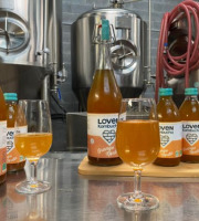 Brasserie L'Indispensable LOVEN Kombucha - SAVEUR EPHEMERE - 10x33cl Orange Nørdic (Orange, chicorée & Cardamome)