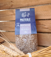 Pasteole - Pâte Risoni sarrasin 500g