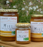 Les Butineuses de Champigny - Miel de Forêt Bio - 250 g