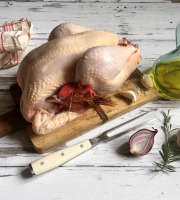 Les poulets de la Marquise - Gros poulet fermier BIO "120 à 150 jours d'élevage" 2,2 kg à 2,6 kg - Lot de 5