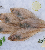 Côté Fish - Mon poisson direct pêcheurs - Limandes 500g