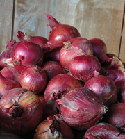 La Ferme du Polder Saint-Michel - Oignons Rouges Bio Filets 2,5kg