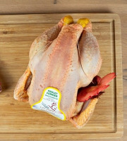 Maison Victor - Poulet fermier de Portes-en-Valdaine - 2500gr