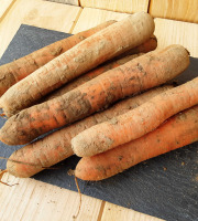 Gourmets de l'Ouest - Carottes de Saint-Malo