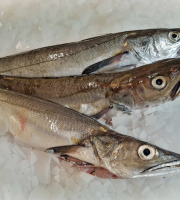 Le Panier à Poissons - Merlu, pièce de 500/700gr