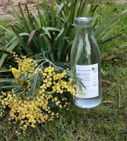 Rébecca les Jolies Fleurs - Sève de Bouleau fraîche 1l