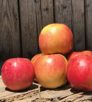 La Boite à Herbes - Pomme bicolore Story bio - 1kg