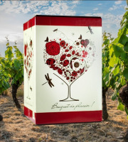 Domaine de la Perrée - Bag in Box (BIB) 5L Rouge Saint-Nicolas-de-Bourgueil